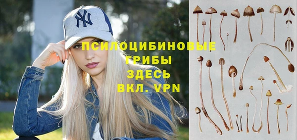 МДПВ Армянск