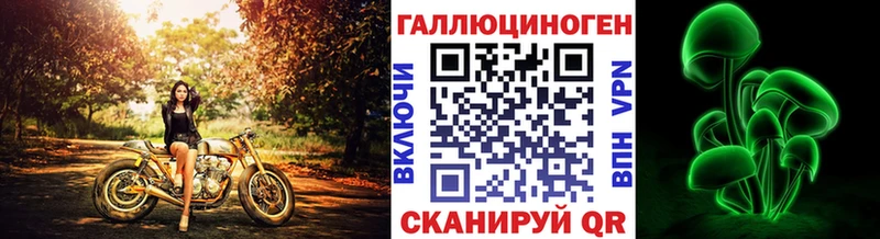 MEGA вход  Сусуман  Галлюциногенные грибы Psilocybine cubensis 
